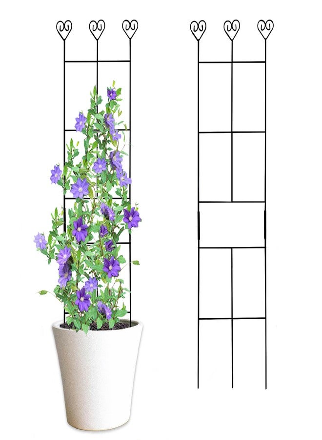 Hensal 2 Pack 30'' Plant Trellis for Climbing Plants Indoors, Metal Garden Trellis for Potted Houseplant, Rustproof Plant Support for Ivy, Vines, Pothos, Hoya and Flower, Black - Image 1