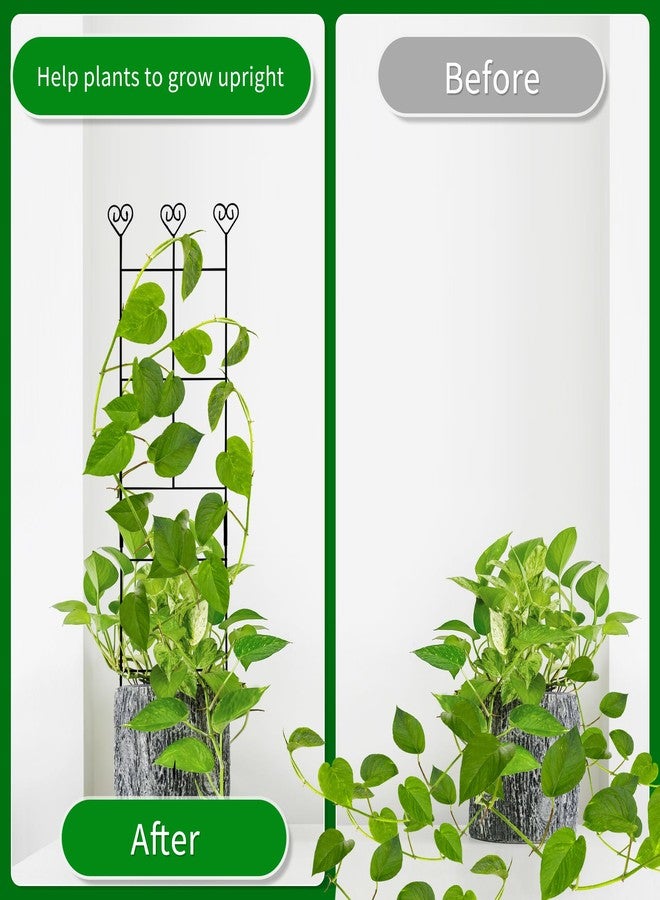 Hensal 2 Pack 30'' Plant Trellis for Climbing Plants Indoors, Metal Garden Trellis for Potted Houseplant, Rustproof Plant Support for Ivy, Vines, Pothos, Hoya and Flower, Black - Image 2