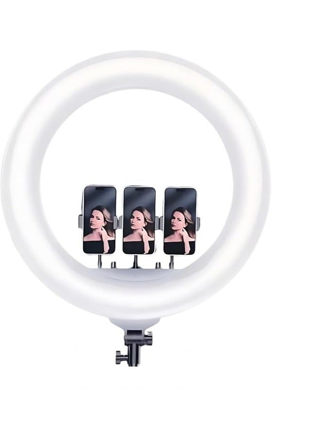 PLOKAMA ضوء حلقة LED ناعم Live-R56 مع حامل ثلاثي القوائم وحامل هاتف - ضوء حلقة قابل للتعتيم بحجم 10 بوصات للبث المباشر، المكياج، يوتيوب، زووم، تيك توك - 3 أوضاع إضاءة، 10 مستويات سطوع، يعمل بالطاقة عبر USB - Image 4