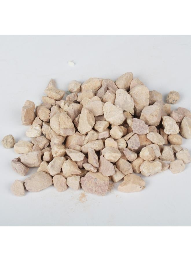 بي اند كيه وسائط تصفية حوض السمك مزيل الأمونيا 500 جرام - Image 1