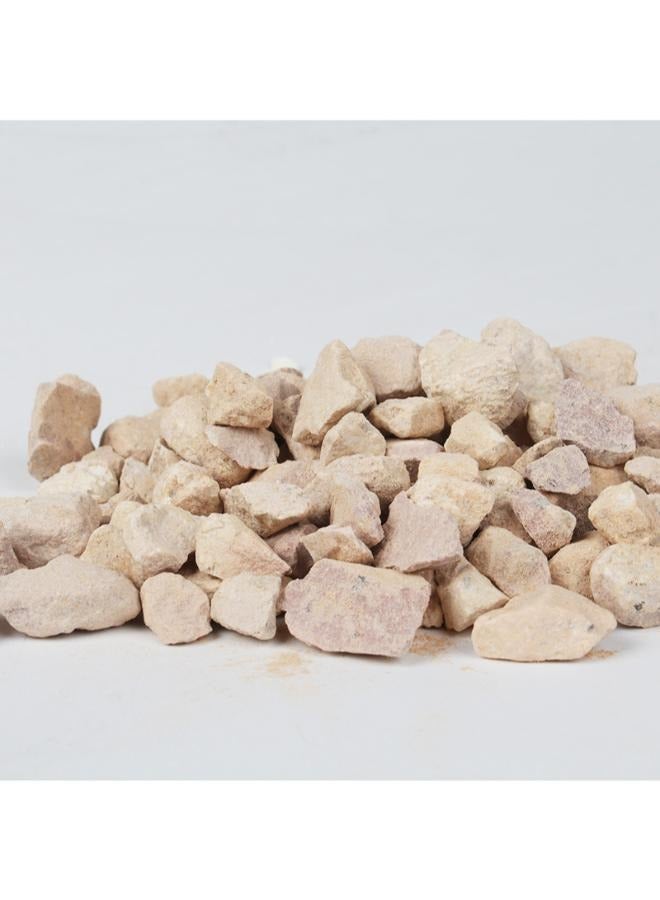 بي اند كيه وسائط تصفية حوض السمك مزيل الأمونيا 500 جرام - Image 2