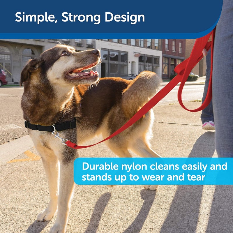 PetSafe Nylon Dog Leash - Strong and Durable 3/4 in. x 6 ft Red Leash with Easy to Use Bolt Snap - Image 4