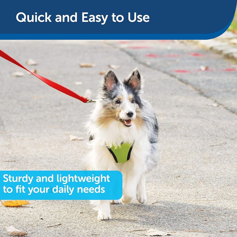 PetSafe Nylon Dog Leash - Strong and Durable 3/4 in. x 6 ft Red Leash with Easy to Use Bolt Snap - Image 3