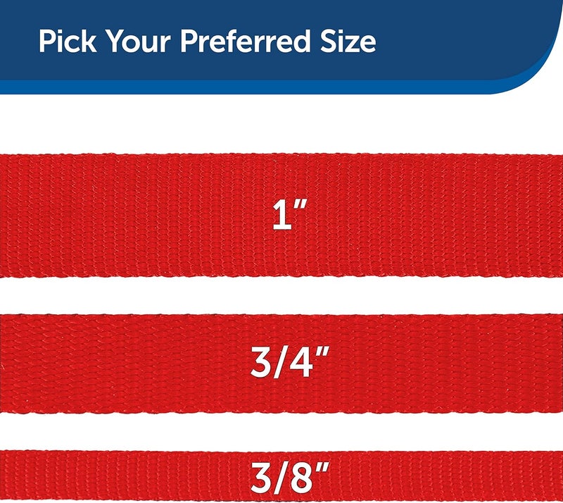 PetSafe Nylon Dog Leash - Strong and Durable 3/4 in. x 6 ft Red Leash with Easy to Use Bolt Snap - Image 5