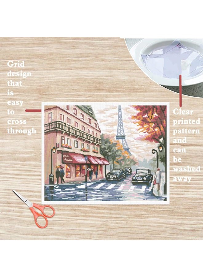 FREEBLOSS Street Scene Cross Stitch Kits Stamped Embroidery Wall Hanging Kits Pre Printed Stitches Practice Kit with Instructions for Adults Beginners Cross Stitching Handmade Gift - Image 3