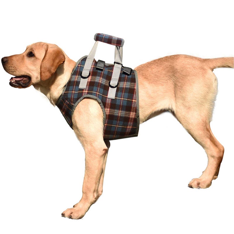 ROZKITCH Dog Lift Harness, Grid Pet Chest Support Aid Veterinarian Approved Sling for Old K9 Help with Poor Stability, Front Legs Disabled Joint Injury Elderly Arthritis ACL Rehabilitation Rehab - Image 1