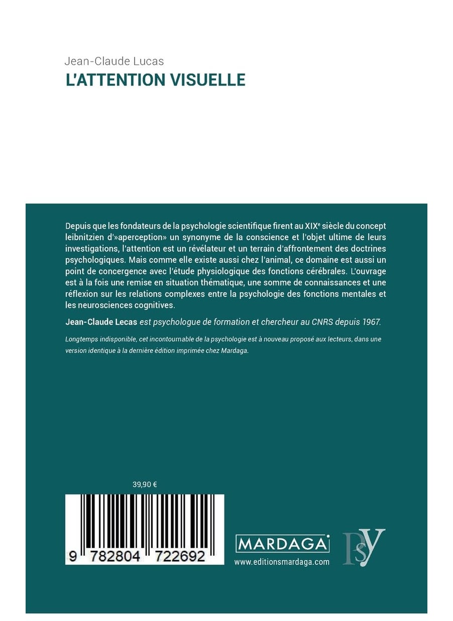 L'attention visuelle  - Image 2