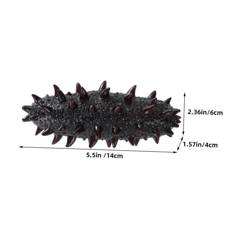 Lifelike Artificial Sea Cucumber Model For Home Decoration Display Pretend Play Photo Prop - Image 3