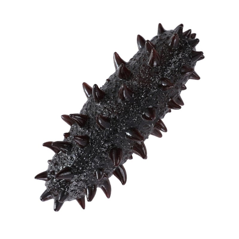 Lifelike Artificial Sea Cucumber Model For Home Decoration Display Pretend Play Photo Prop - Image 2