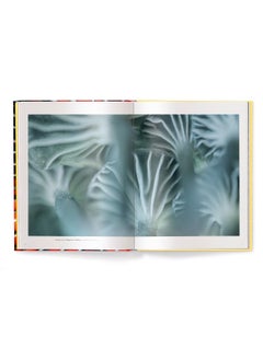 Wonderland: The Secret World of Mushrooms  - Image 2