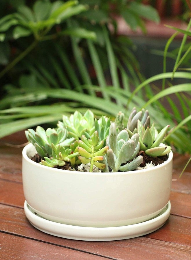 SQOWL 8 inch White Round Ceramic Succulent Planter Pot Modern Flower Cactus herb Big Planter with Removable Saucer Indoor or Outdoor - Image 4