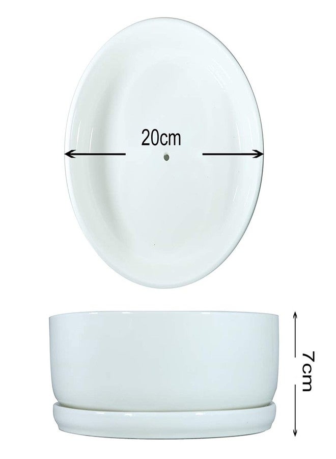 SQOWL 8 inch White Round Ceramic Succulent Planter Pot Modern Flower Cactus herb Big Planter with Removable Saucer Indoor or Outdoor - Image 5