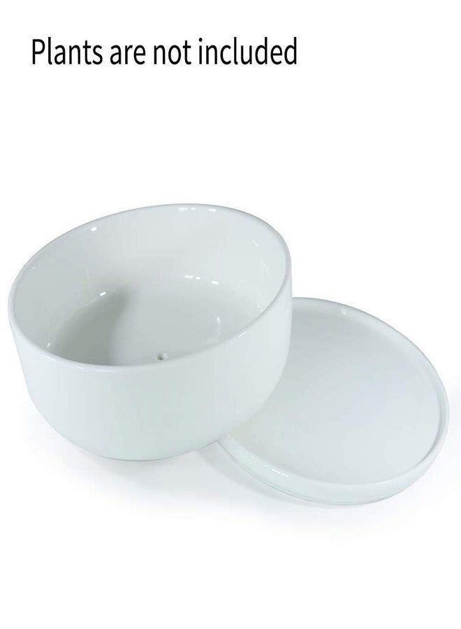 SQOWL 8 inch White Round Ceramic Succulent Planter Pot Modern Flower Cactus herb Big Planter with Removable Saucer Indoor or Outdoor - Image 2