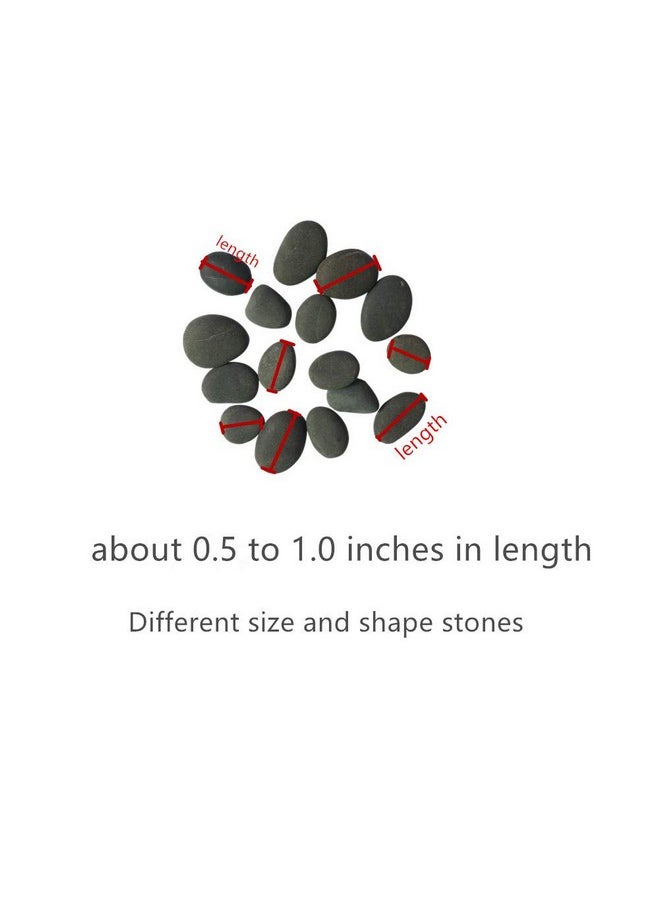 Lifetop - 50Pcs Tiny Painting Rocks Diy Rocks For Painting Detailpainting Rocks Smooth Surface Stonesarts And Crafts ，0.5 To 1.0 Inches ，So Small Rockshand Picked For Painting Rocks - Image 1
