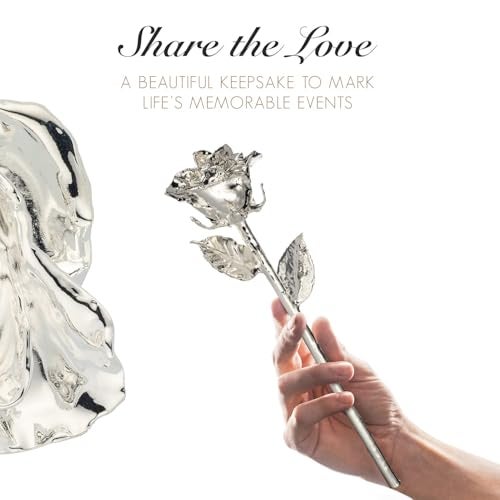 Lavanaya Silver®- Real Rose Hand Dipped in Pure 999 Silver with Beautiful Velvet Box, 11 Inches - Image 2