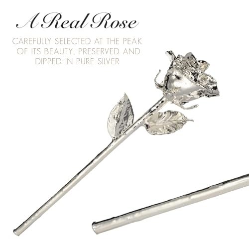 Lavanaya Silver®- Real Rose Hand Dipped in Pure 999 Silver with Beautiful Velvet Box, 11 Inches - Image 3