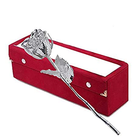Lavanaya Silver®- Real Rose Hand Dipped in Pure 999 Silver with Beautiful Velvet Box, 11 Inches - Image 4