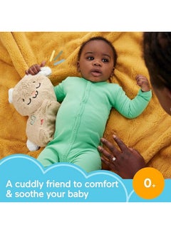 Fisher-Price Fisher-Price Soothe & Settle Bunny Plush Baby Toy (26.67 cm)  - Image 1