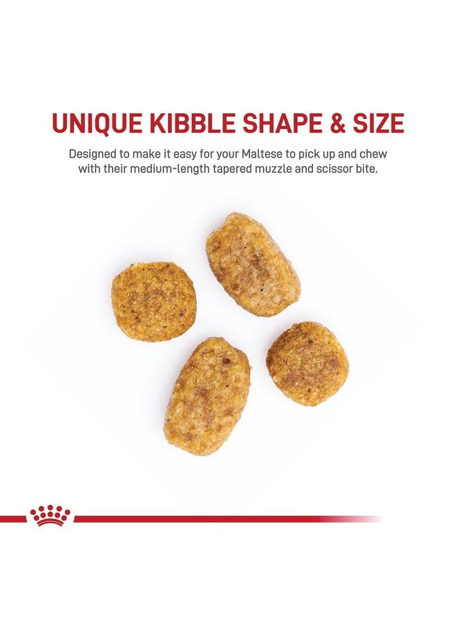 ROYAL CANIN Maltese Adult Dry Dog Food, 2.5 Lb Bag - Image 2