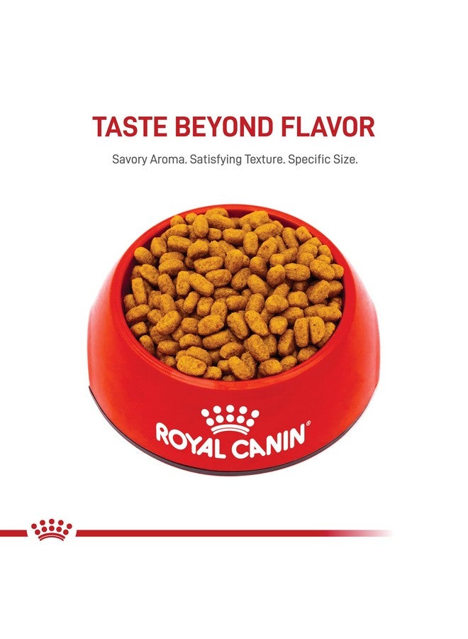 ROYAL CANIN Maltese Adult Dry Dog Food, 2.5 Lb Bag - Image 4