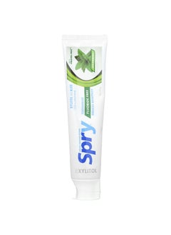 Xlear Xlear, Natural Spry, Fluoride Free Toothpaste, Spearmint, 5 oz (141 g)  - Image 1