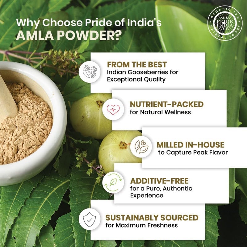 Pride of India - Amla Powder - Gourmet Spice - Tangy & Savory - Pure Indian Gooseberry Ground - Antioxidant Rich - GMO/Gluten Free - Easy to Use - 7 oz. Medium Dual Sifter Jar - Image 4