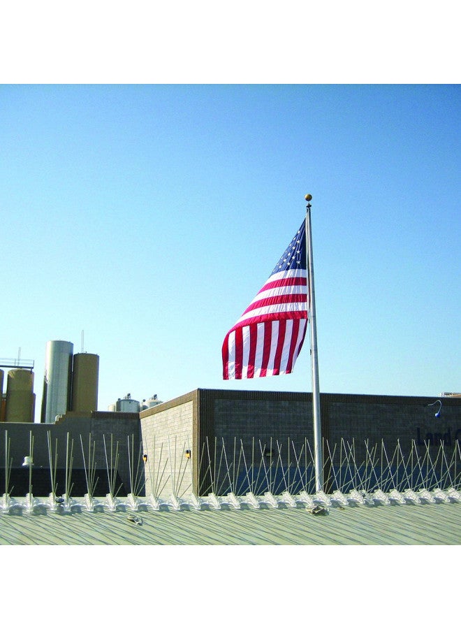 BIRD.B.GONE Bird B Gone Stainless Steel Bird Spikes - 6 ft Box - Image 4