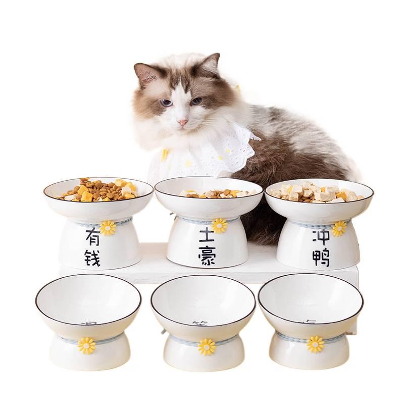 White Raised Cat Bowl with Raised Stand and Tilted Bowl Floor Mat Use Food and Water Daily Feeding Indoor Feeding Home Use Pet Feeding Accessory Easy Clean Bowl for Cats and Dogs - Image 4
