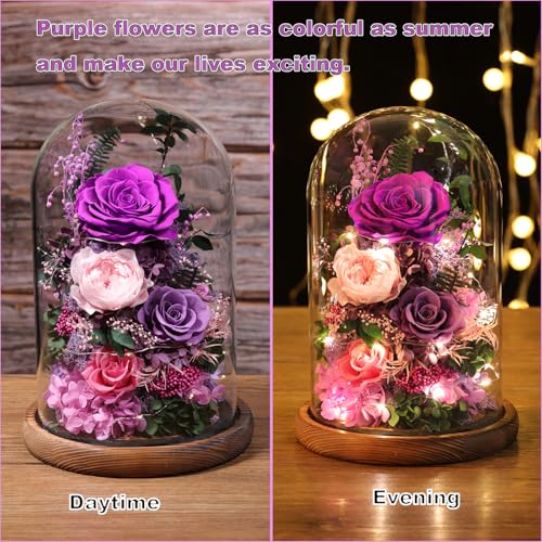 lovenfold Flowers for Delivery Preserved Flowers Rose in Glass Dome,Purple Rose Forever Flowers Birthday Gifts for Women Mom Grandma Friend Gifts for Her,Home Decor - Image 3