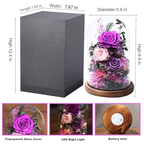lovenfold Flowers for Delivery Preserved Flowers Rose in Glass Dome,Purple Rose Forever Flowers Birthday Gifts for Women Mom Grandma Friend Gifts for Her,Home Decor - Image 2