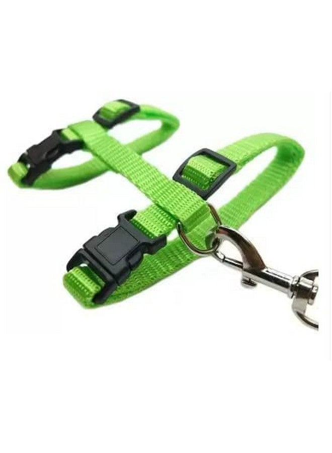 طوق من النايلون للقطط مع حزام قابل للتعديل للأرانب والقطط والحيوانات الأليفة الصغيرة - أخضر - Image 4