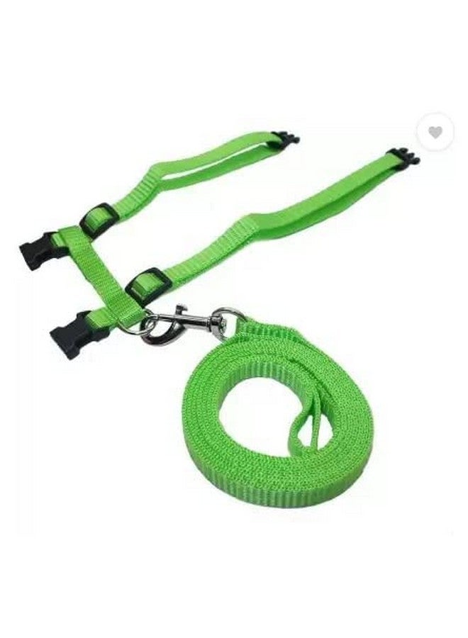 طوق من النايلون للقطط مع حزام قابل للتعديل للأرانب والقطط والحيوانات الأليفة الصغيرة - أخضر - Image 2