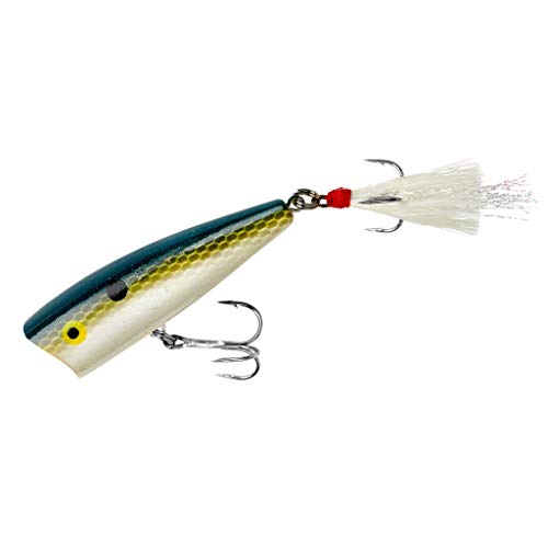 Rebel Lures Pop-R Topwater Popper Fishing Lure, Foxy Shad, Pop-R (1/4 oz), One Size - Image 3