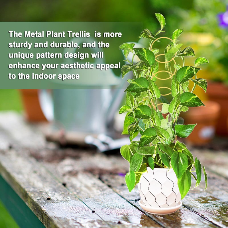 OYOEETD 17.5 Inch Indoor Plant Trellis for Climbing Plants,Metal Trellis,Small Garden Trellis for Potted Plants,Plant Stakes for Indoor Plants Accessories Hoya,Flower,Plant Support (Golden-Metal) - Image 5
