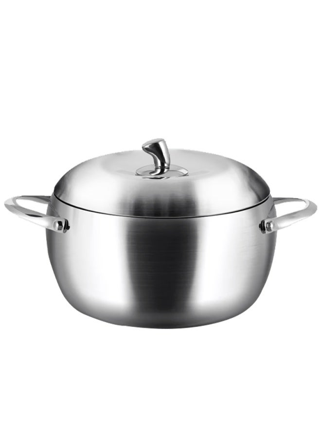 Olofe 316 Stainless Steel Soup Pot Without Coating, Baby Food Pot, Thickened Base Porridge And Soup Pot, Stew Pot, Universal 22cm - Image 4