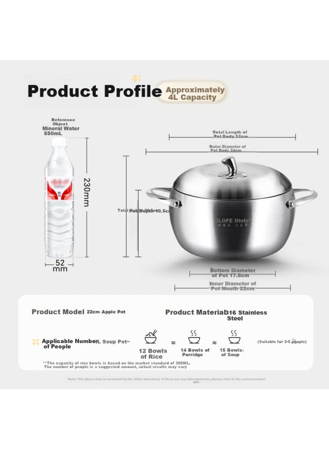 Olofe 316 Stainless Steel Soup Pot Without Coating, Baby Food Pot, Thickened Base Porridge And Soup Pot, Stew Pot, Universal 22cm - Image 1