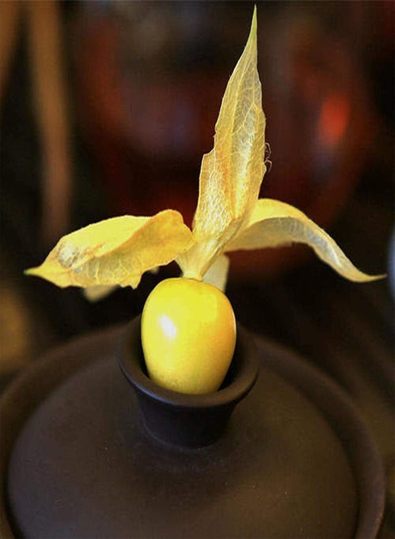 GGOOT 150Pcs Physalis Peruviana Seeds Heirloom Non-GMO Fruit Seeds for Outdoor Gardening Planting Easy to Manage Bring A Sense of Accomplishment - Image 2