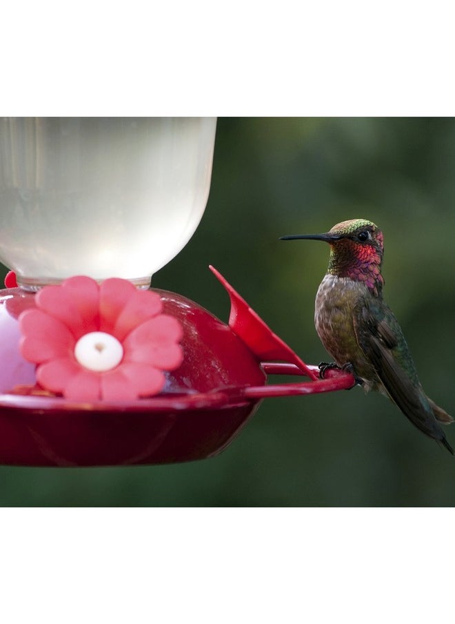 Perky-Pet - 135Tf “Perky’S Finest” 16 Oz Plastic Top Fill Hummingbird Feeder, Red - Image 1