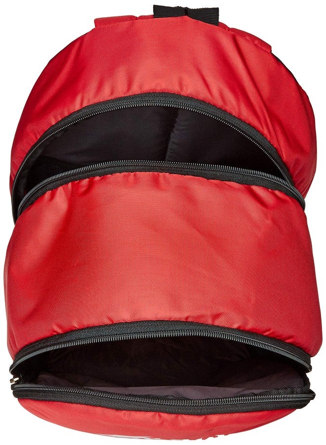 LIONBONE 15 inch 32 Ltrs Red Laptop Backpack (Back to School Bag) - Image 5