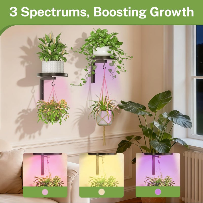 iDavosic.ly Wall Plant Holder with Grow Lights Set of 2 for Indoor Outdoor, Metal Hanger with 2 Hooks, Floating Flower Display Stand for Window, Space Saving & Easy to Assemble (Pots Not Included) - Image 5