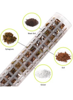 Generic Set of 2 Coconut Moss Poles with Ground Rope for Indoor Climbing Plants - 27cm White Plant Stakes for Promoting Upward Growth.  - Image 4