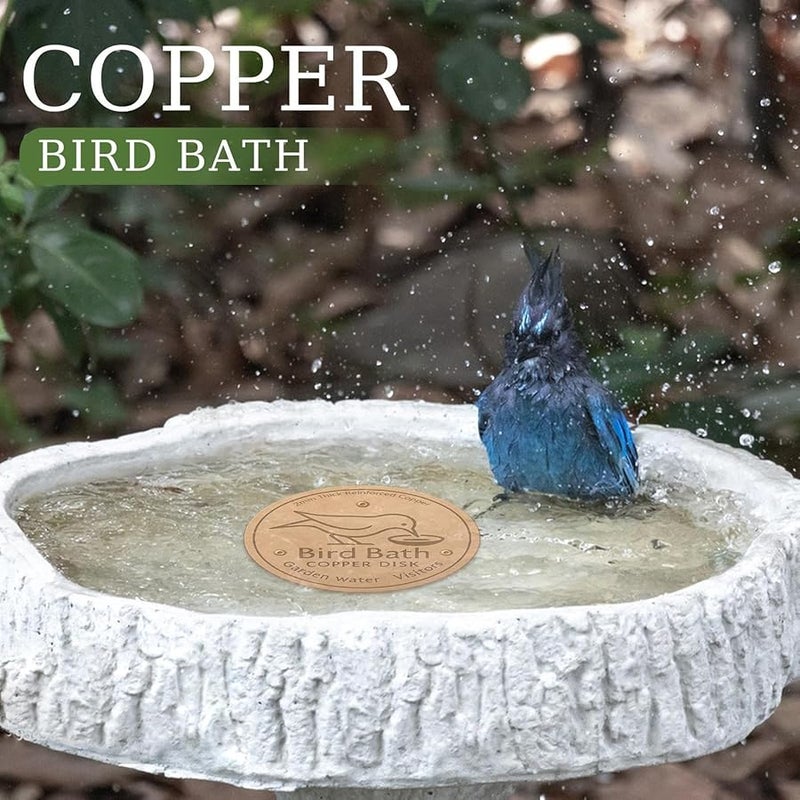 Bird Feeder Accessory Durable Purifier Tray Stand Garden Bowl Plate Decorative Disk - Image 3
