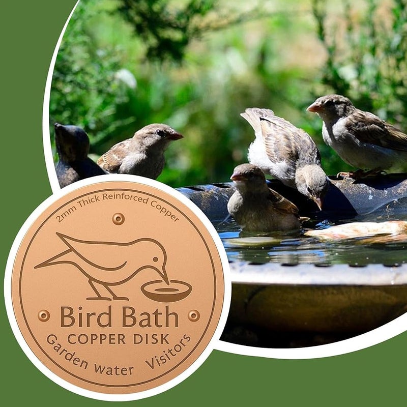 Bird Feeder Accessory Durable Purifier Tray Stand Garden Bowl Plate Decorative Disk - Image 4