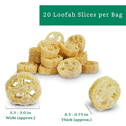 LooLife Natural Loofah Slices for Soap Making (20 Pack) - Organic Loufa Cuts - Bulk Luffa - Soap Making Supplies - Image 2