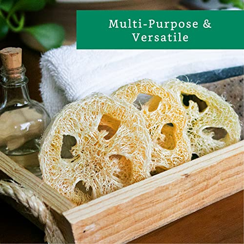 LooLife Natural Loofah Slices for Soap Making (20 Pack) - Organic Loufa Cuts - Bulk Luffa - Soap Making Supplies - Image 4