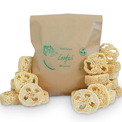 LooLife Natural Loofah Slices for Soap Making (20 Pack) - Organic Loufa Cuts - Bulk Luffa - Soap Making Supplies - Image 1