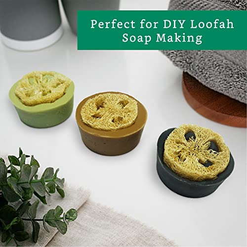 LooLife Natural Loofah Slices for Soap Making (20 Pack) - Organic Loufa Cuts - Bulk Luffa - Soap Making Supplies - Image 3