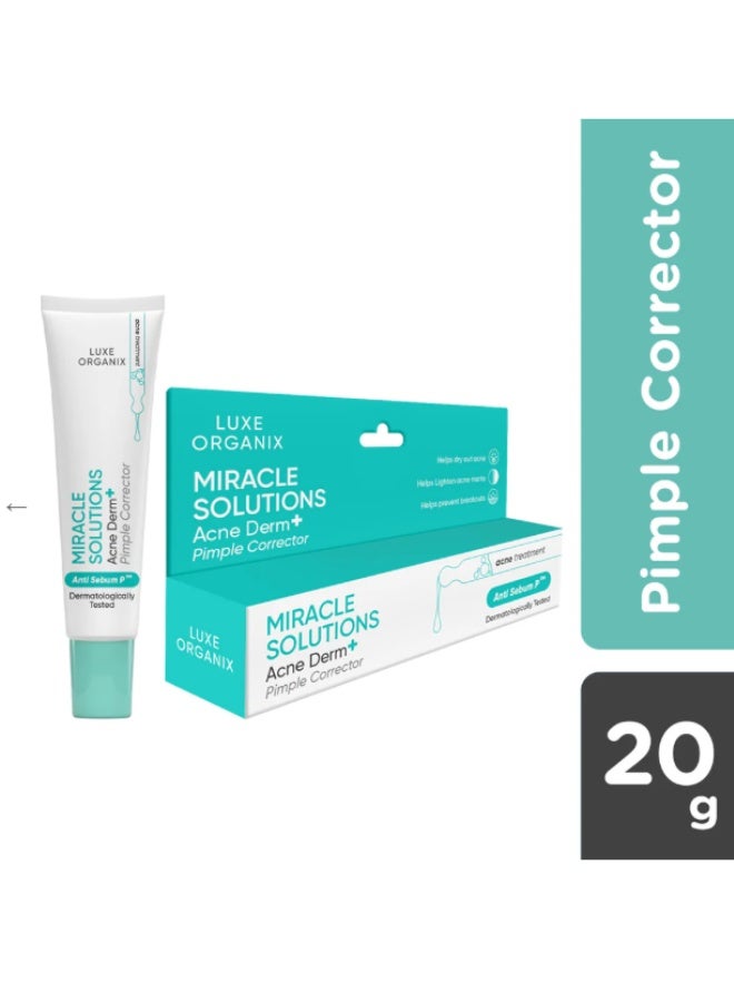 LUXE ORGANIX Miracle Solutions Acne Derm Pimple Corrector 20 g Anti Sebum P Fast Acting Spot Treatment for Acne and Blemishes - Image 3