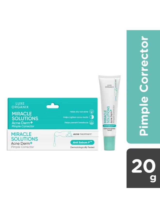 LUXE ORGANIX Miracle Solutions Acne Derm Pimple Corrector 20 g Anti Sebum P Fast Acting Spot Treatment for Acne and Blemishes - Image 2