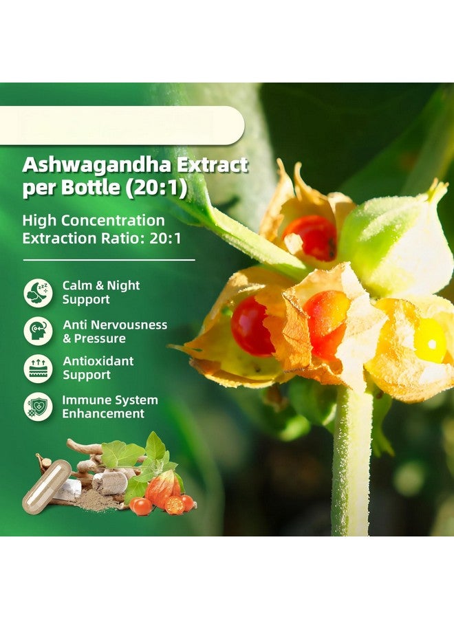 B BEWORTHS مكملات الكورتيزول من B BEWORTHS للنساء والرجال، 10 في 1 ديتوكس الكورتيزول مع الأشواغاندا، المغنيسيوم، L-ثيانين، مستويات الكورتيزول المتوازنة، دعم الليل والهدوء، 120 كبسولة نباتية - Image 5